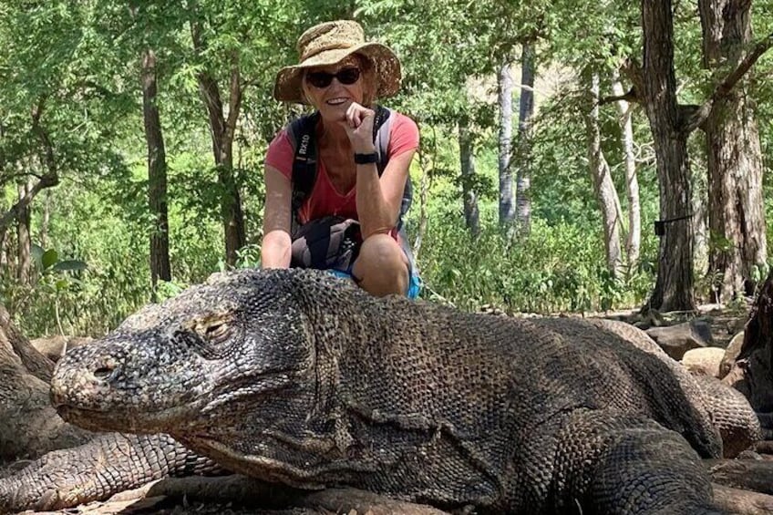 1Day Komodo Trip by Fast Boat Private.