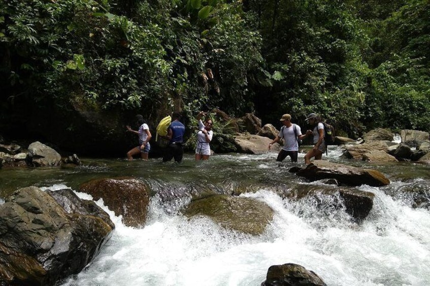 Rivering in the Danube (Alto Anchicayá)