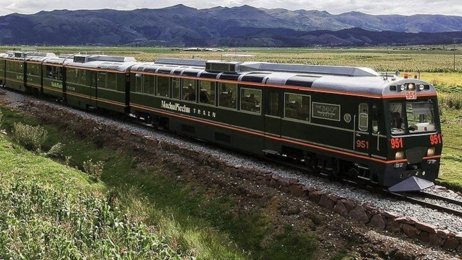 TREN TURISTICO