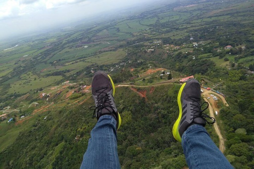 Paragliding + BelloHorizonte Swing + Hacienda El Paraíso + Santa Helena