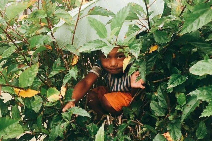 a little boys plays hiding and search game
