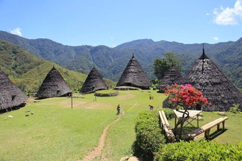 Wae Rebo Traditional Village