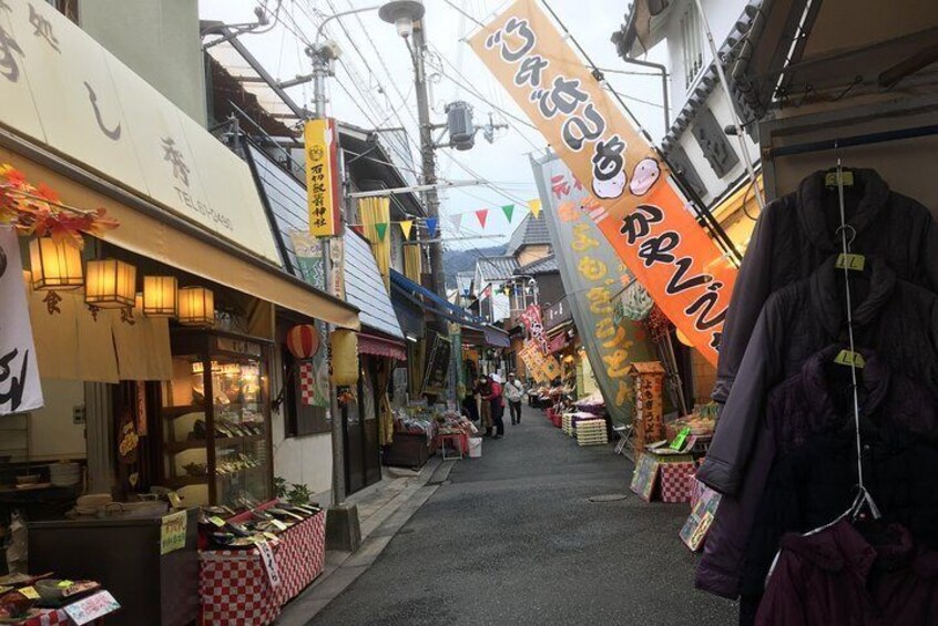 Full-Day Private Guided Tour to a Japanese Mountain near Osaka: Ikoma