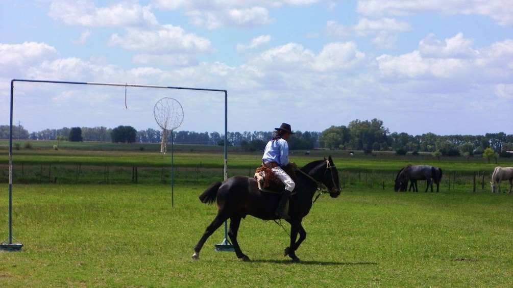 man riding horse through a field in Argentina