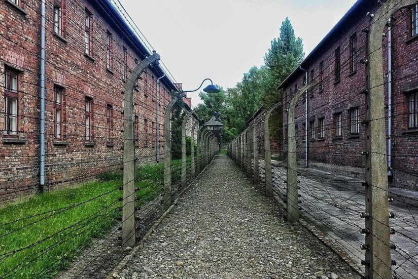 Private Full-Day Tour Auschwitz and Krakow’s Old Town