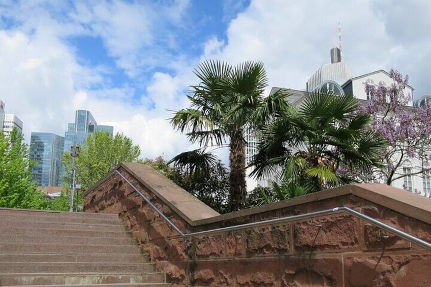 Treppenaufgang Nizza mit Palmen und Hochhäusern ©#visitfrankfurt, Jessica Jaekel-Badouin