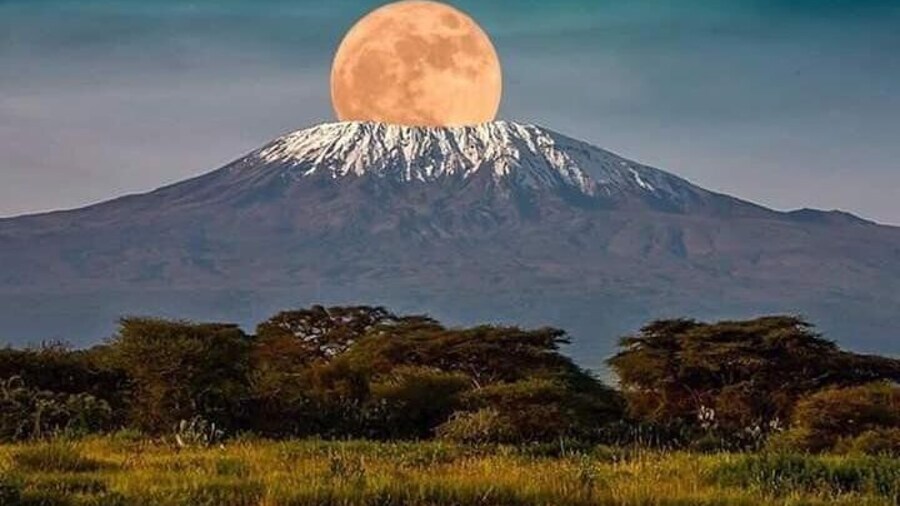 Mount Kilimanjaro view by sunset