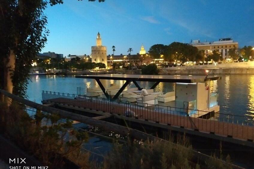 Ecological Cruise on the Guadalquivir