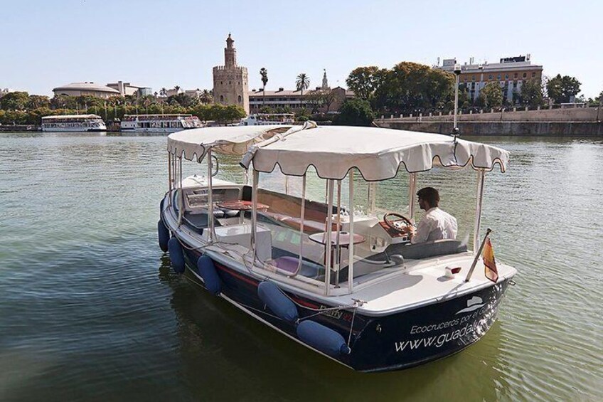 Ecological Cruise on the Guadalquivir