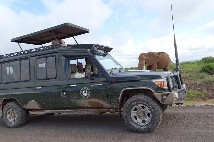 Tsavo East 1 Day Safari, Beach To Beach In 4wd Jeep