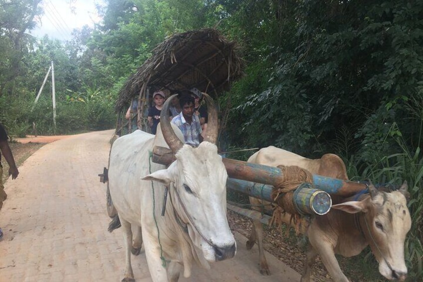 Sigiriya Day Trip with Experts