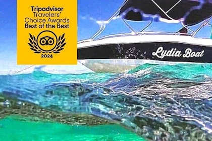 Lydia Boat :Private boat tour Dolphins & Whales encounter & lunch