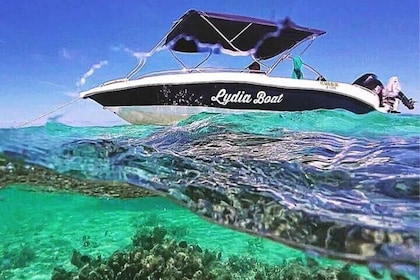 Viaje con delfines/Paseo en barco privado le morne/Crystal rock LydiaBoat