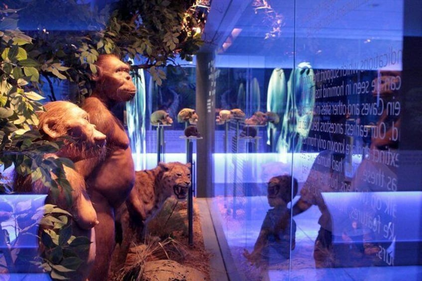 Exploration of the Cradle of Humankind: Sterkfontein Caves and Maropeng