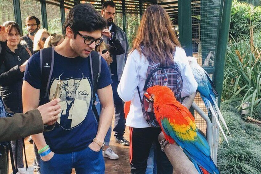 From Buenos Aires: Temaiken Biopark with Transfer and Tickets