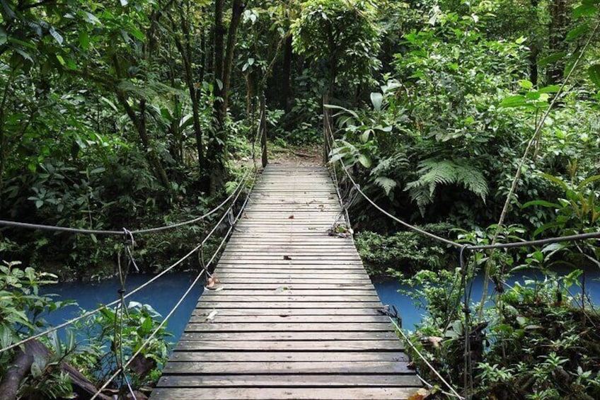 Rio Celeste Half-Day Nature Tour