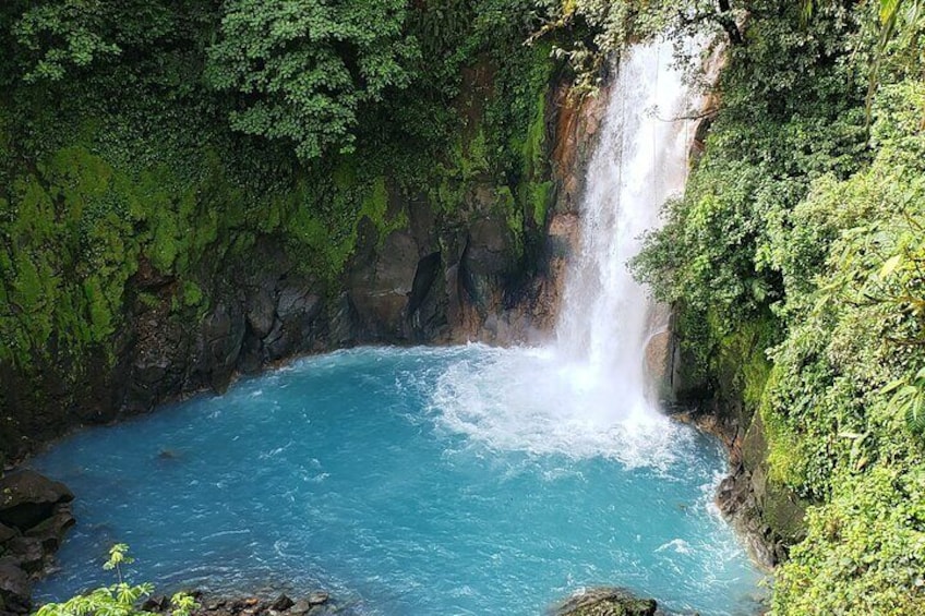 Rio Celeste Half-Day Nature Tour