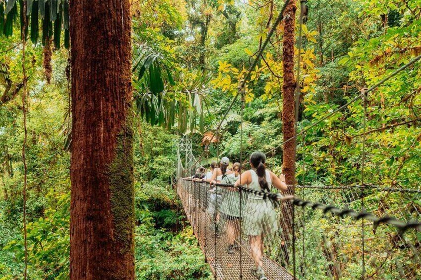Arenal HIGHLIGHTS Combo 1 day tour