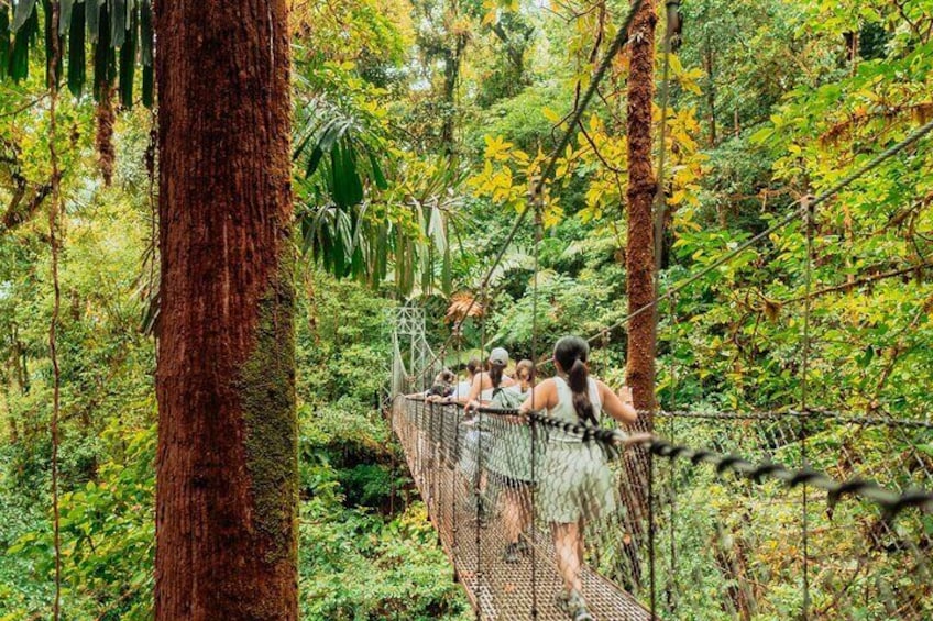 Arenal HIGHLIGHTS Combo 1 day tour