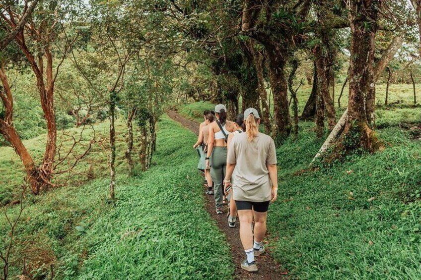 Arenal HIGHLIGHTS Combo 1 day tour