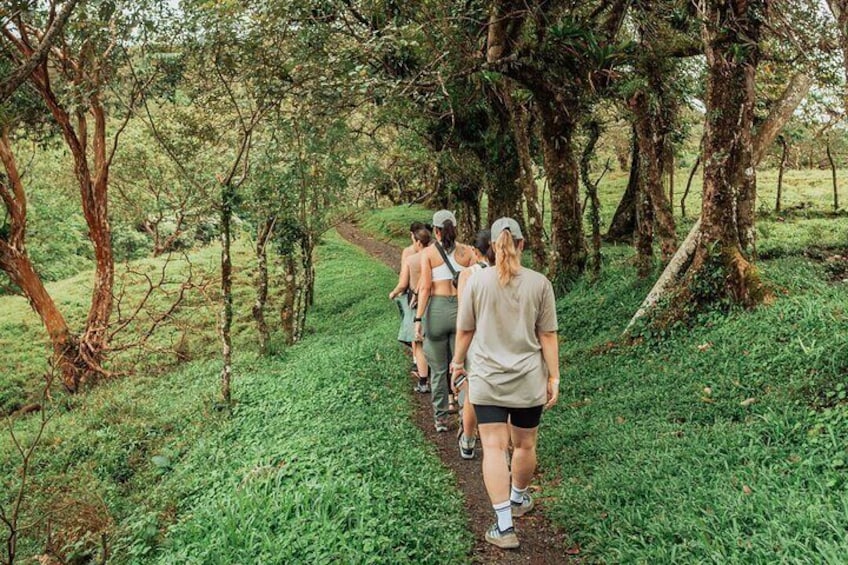 Arenal HIGHLIGHTS Combo 1 day tour