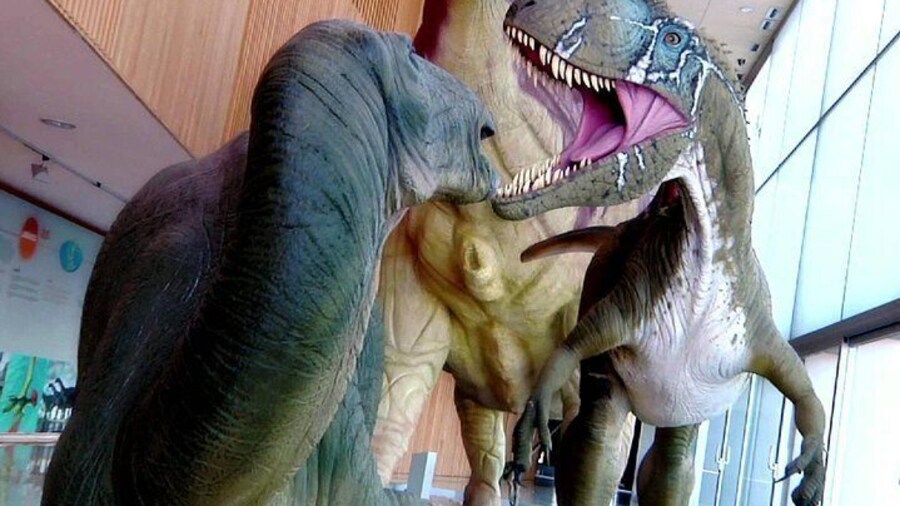 Dinosaur Route and Paleontology Museum - Return to the Cretaceous