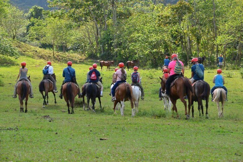 Horseback Riding to La Fortuna Waterfall