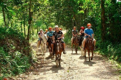 Cabalgata a la Catarata La Fortuna