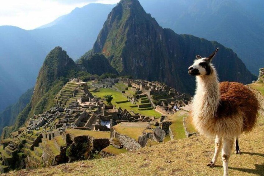 Machu Picchu in one day