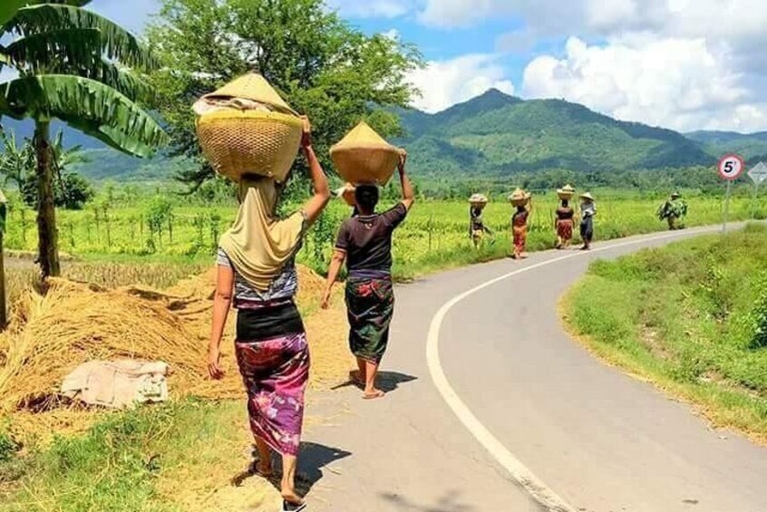 This is how people live their life in Farming. Women brought some food on their head. They are used to do it for serving who are working in Rice field.
