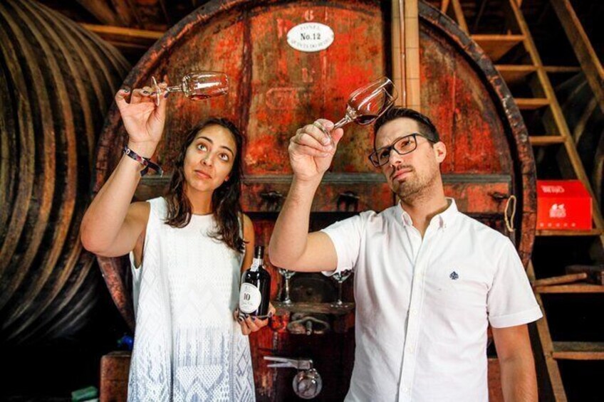 Premium Wine/Port Tasting with Guided Interactive Winery Tour