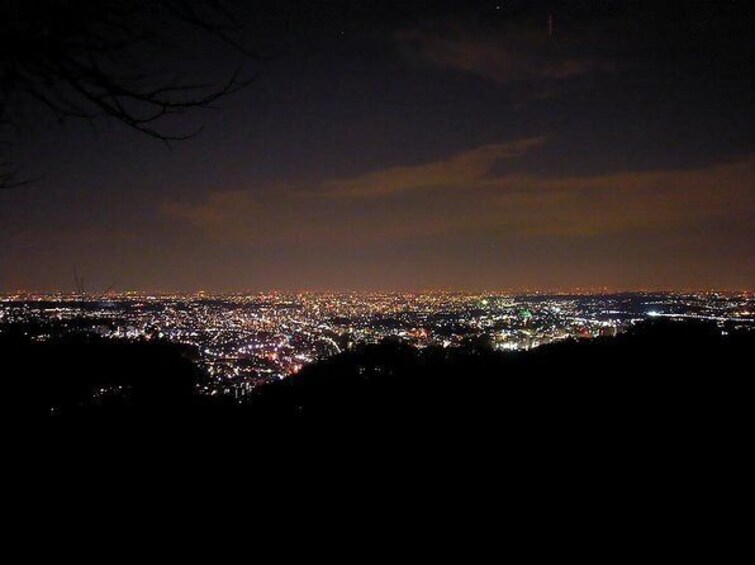 Mt. Takao Night Hike