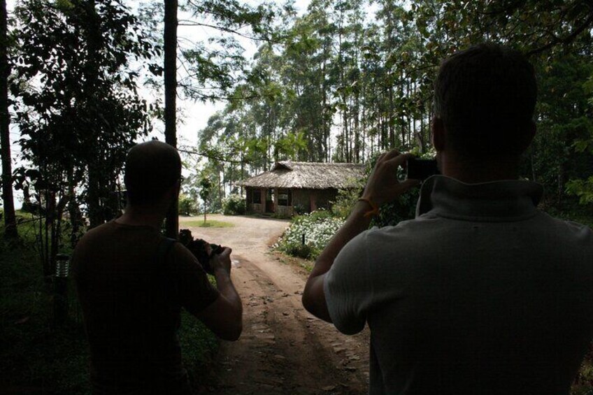 Munnar Tea-trail Tour