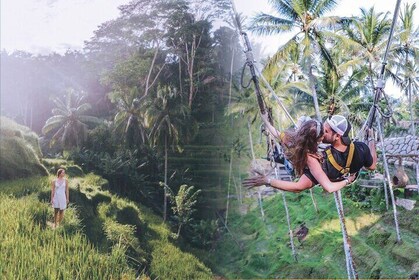 Ubud Bali Tour: Monkey Forest, Rice Terrace & Jungle Swing