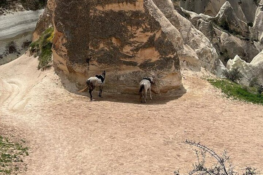 horse ride cappadocia