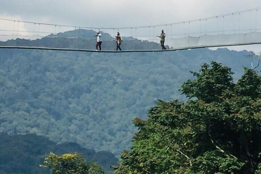 The 160m long and 70m high suspension bridge is accessible as part of a guided tour along the Igishigishigi trail, 