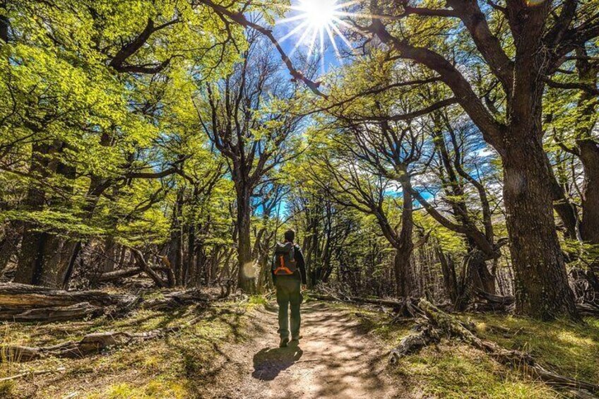 A day in El Chaltén with Trekking by Patagonia Dreams