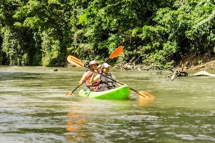 Wildlife Safari Float by Kayak in Peñas Blancas River from Arenal