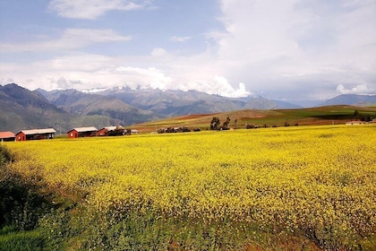 Sacred Valley tour with the most beautiful views