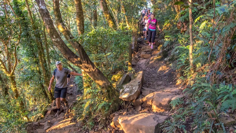 Show item 1 of 5. hiking down a steep rocky path in Australia