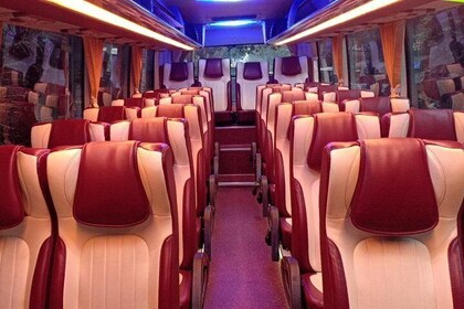 Serenity 1 Day Cruise( Ha Long,Lan Ha Bay and Cat Ba Island)