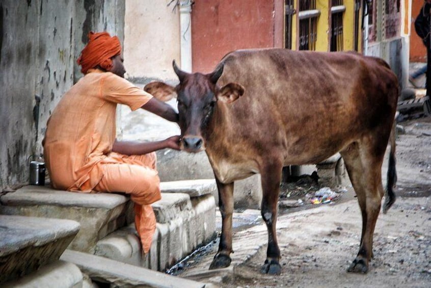 Photo Tour In Holy Varanasi 