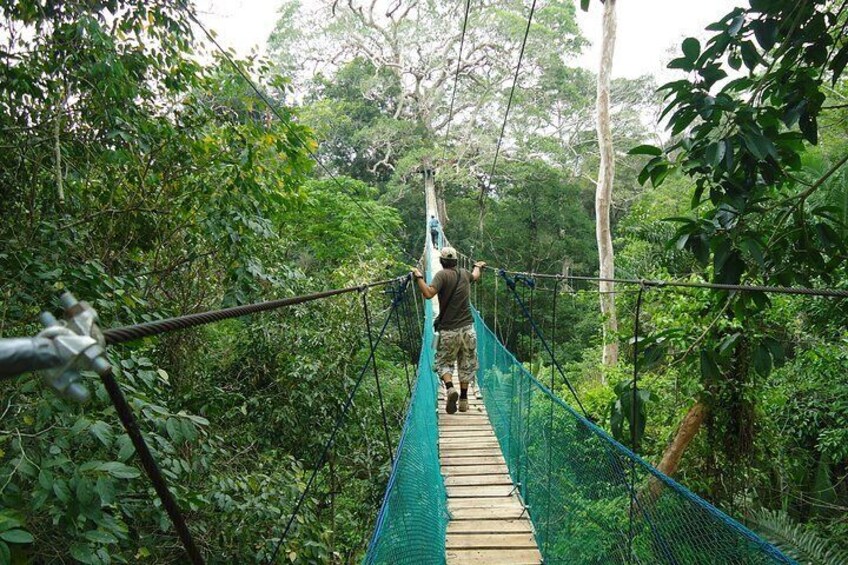 Jungle Eco Jungle And Adventure - 4 Days / 3 Nights