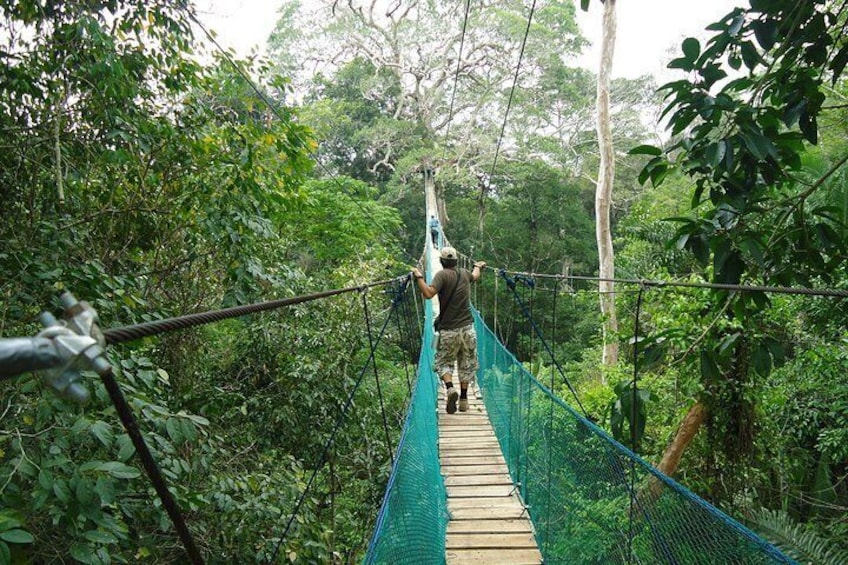 Jungle Eco Jungle And Adventure - 4 Days / 3 Nights