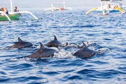 Full-Day Bali Highlights with Dolphin Tour