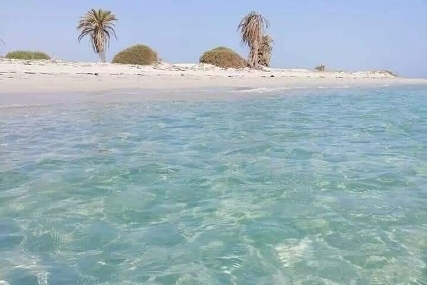 Lille Tour of Djerba in half a day