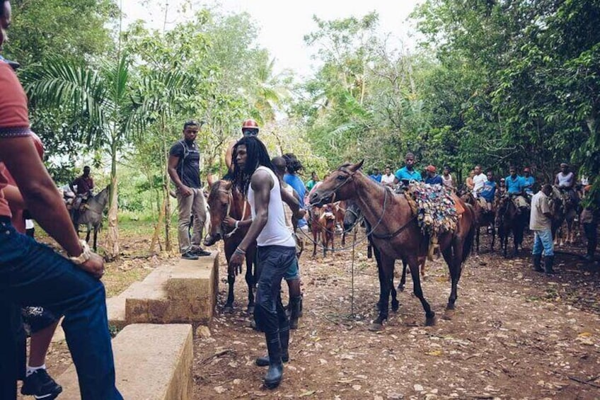 Feel the Magic of the Caribbean on Bacardi Island