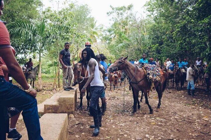 Feel the Magic of the Caribbean on Bacardi Island