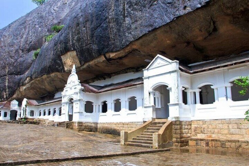 Full-Day Tour Sigiriya + Dambulla & Safari From Colombo & Negombo 