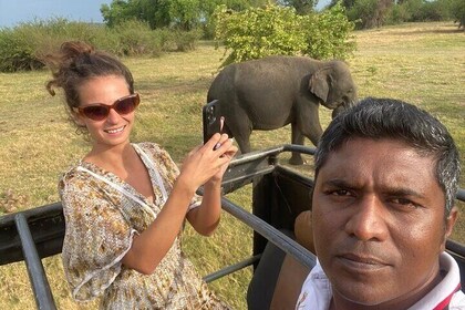 From Colombo/Negombo to Sigiriya, Dambulla Day Trip & Safari